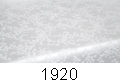 1920