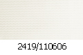 2419_110606