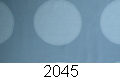 2045