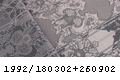 1992_180302+260902