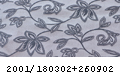 2001_180302+260902