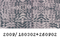 2009_180302+260902