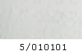 5_010101