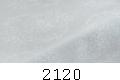 2120
