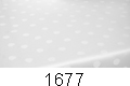 1677