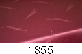 1855