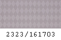 2323