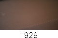 1929