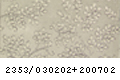 2353_030202+200702