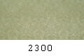 2300