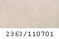 2363_110701