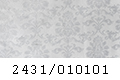 2431_010101