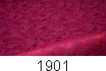 1901