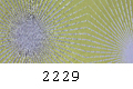 2229