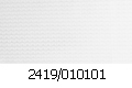 2419_010101