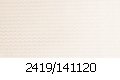 2419_141120