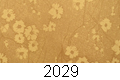 2029