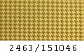 2463_151046