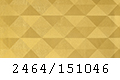 2464_151046