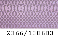 2366_130603