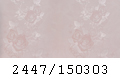 2447_150303