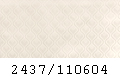 2437_110604