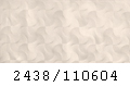 2438_110604