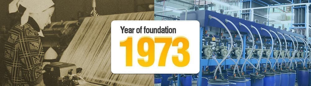 1973 Год основания